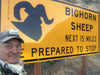 Bighorn Sheep Sign