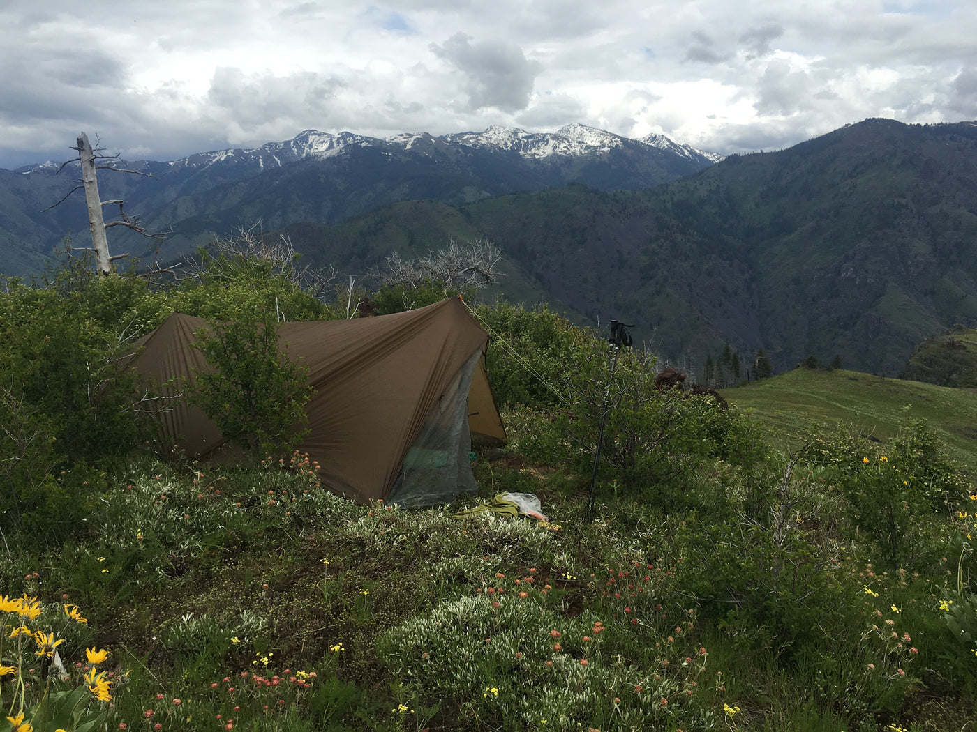 2016, Spring Bear: DIY, Big Country Bears