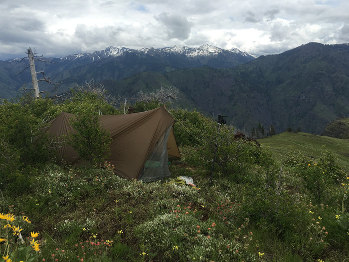 2016, Spring Bear: DIY, Big Country Bears