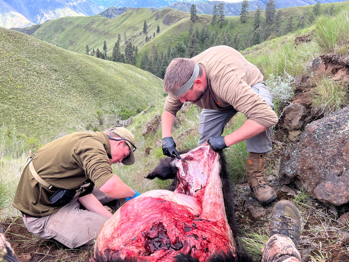 A Spring Bear Hunt to Remember