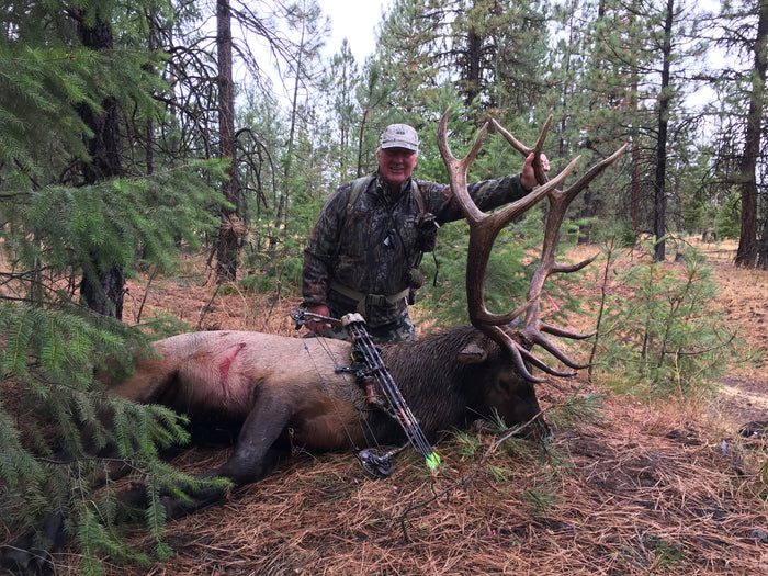 Archery Branch Bull Elk 2017