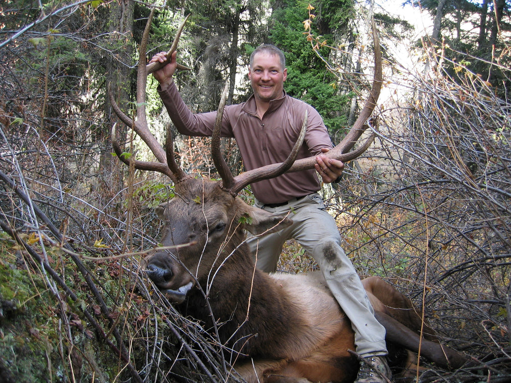 Bull elk down by Oregon Pack Works